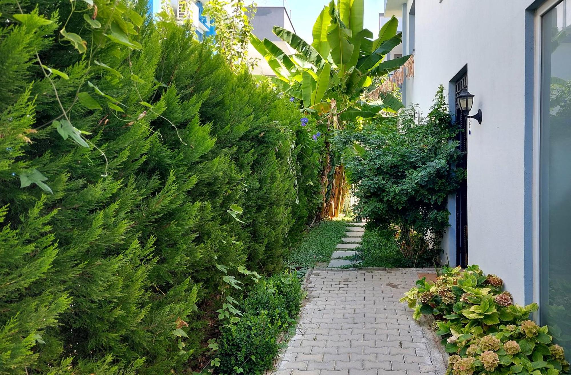 Palmiyem Apart Otel Seferihisar Exteriér fotografie