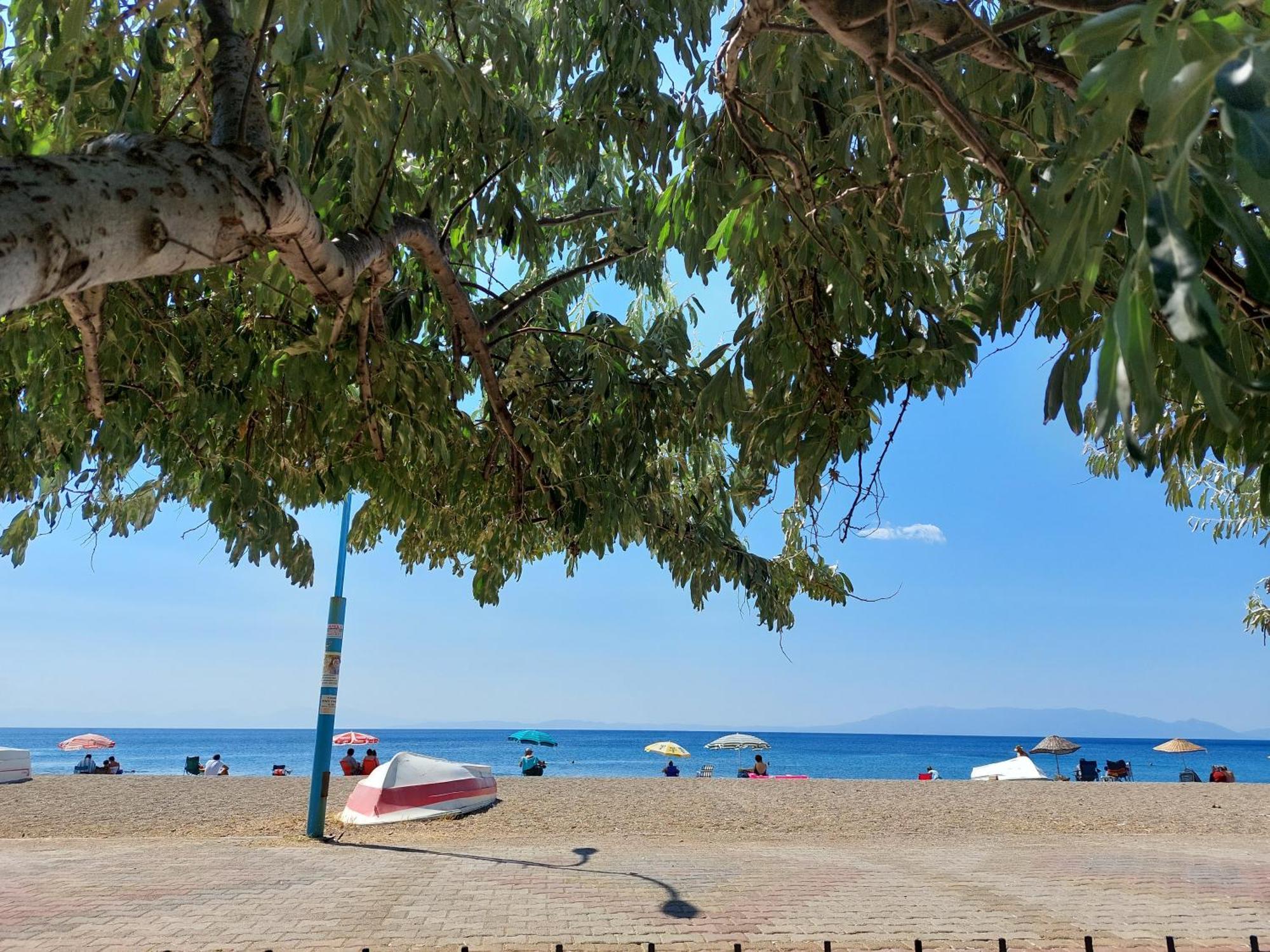 Palmiyem Apart Otel Seferihisar Exteriér fotografie